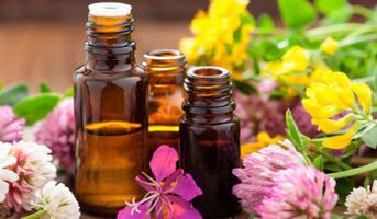 blátholaí le sóid aráin le haghaidh méadú bod